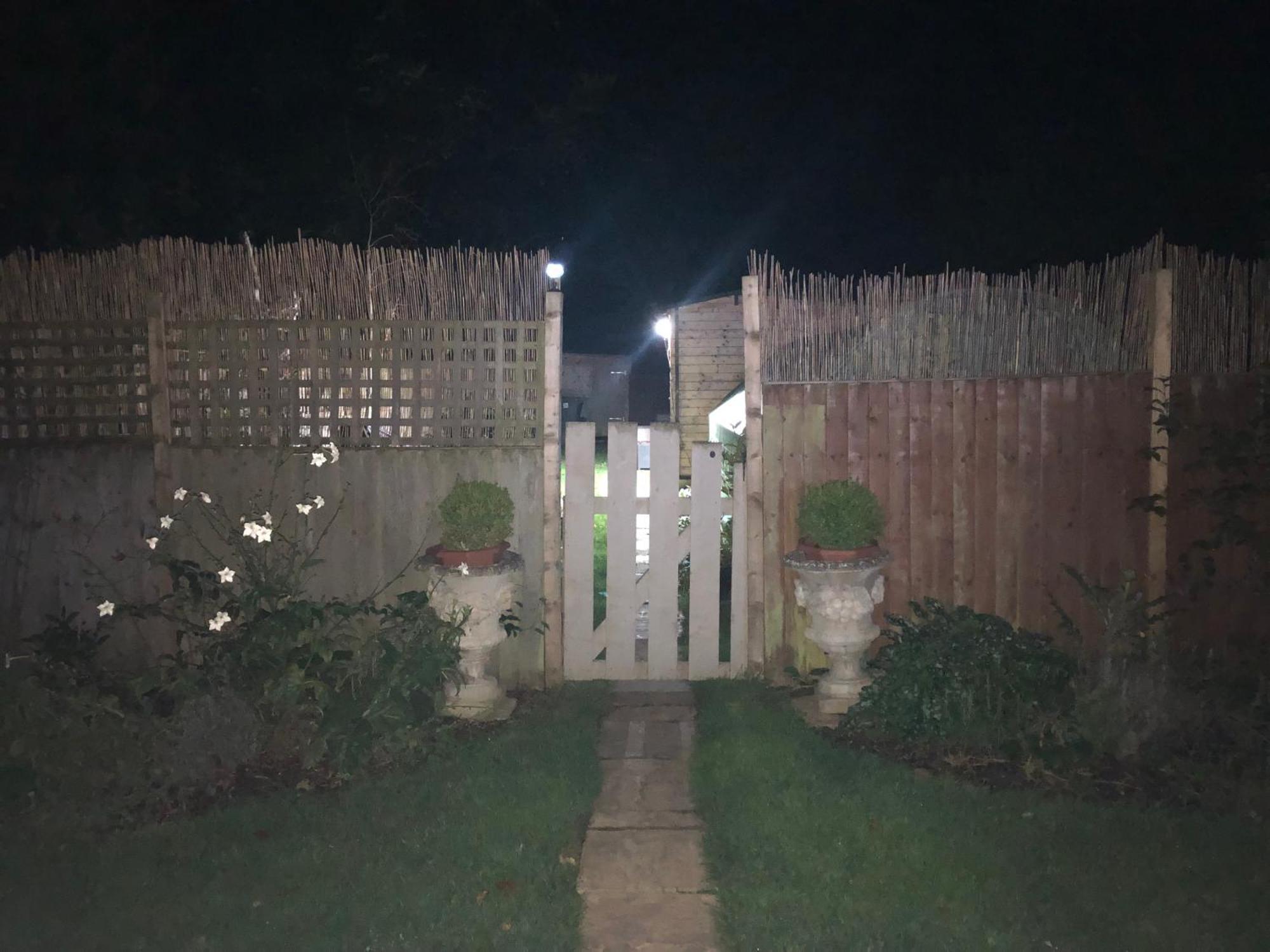 סליסבורי Cosy Garden Log Cabin מראה חיצוני תמונה