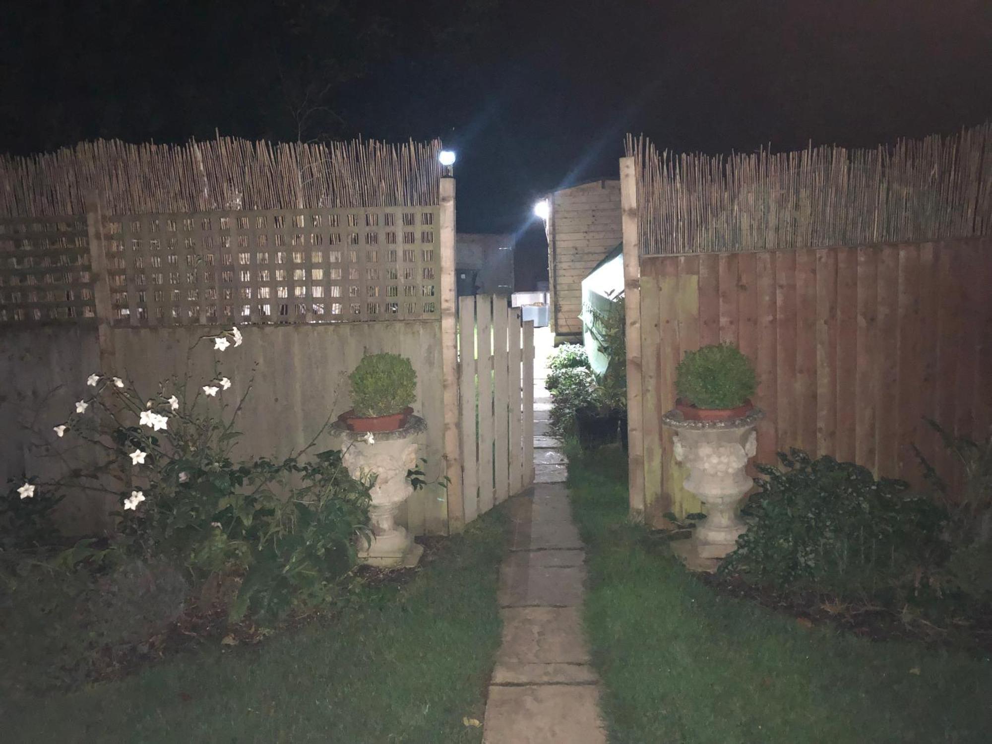 סליסבורי Cosy Garden Log Cabin מראה חיצוני תמונה